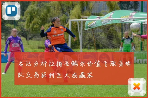 名记分析拉梅洛鲍尔价值飞涨黄蜂队交易获利巨大成赢家